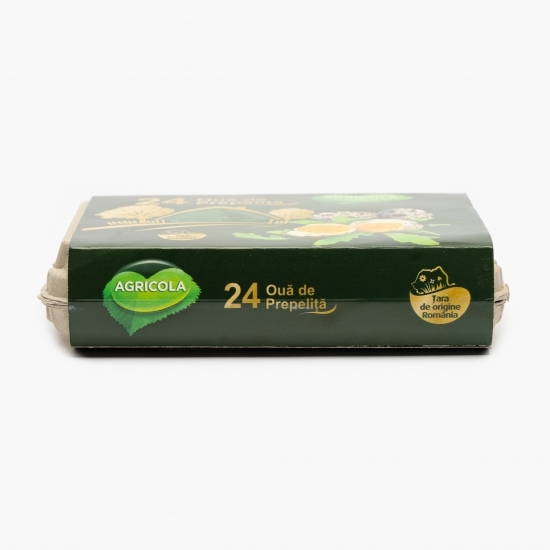 Ouă de prepeliță 24 buc
