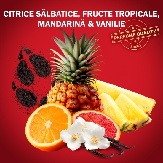 Gel de duș 3 în 1 The Super Mario Galaxy Movie 400ml