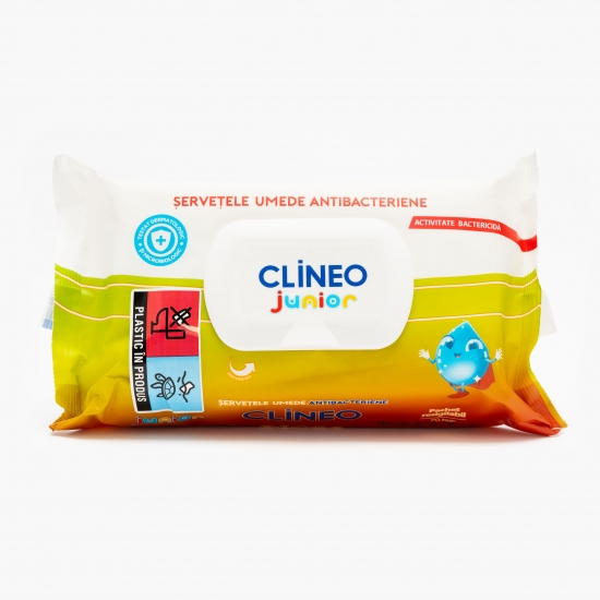 Șervețele umede antibacteriene Junior 70 buc