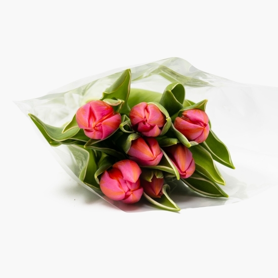 Buchet lalele, 7 fire