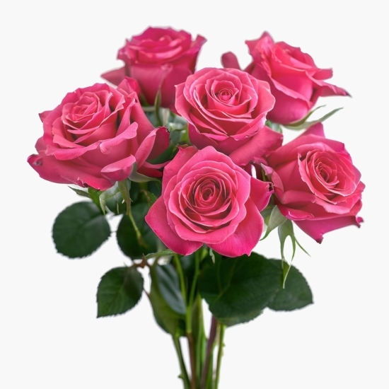Buchet 7 trandafiri diverse culori