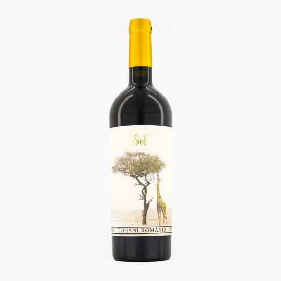 Vin roșu sec Fetească Neagră & Pinot Noir & Merlot & Cabernet Sauvignon & Shiraz, 13.5%, 0.75l