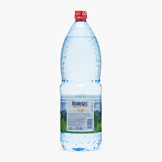Apă minerală naturală plată 2l