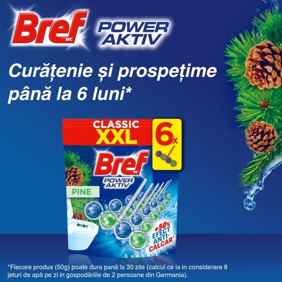Odorizant toaletă Power Active Pine 6x50g