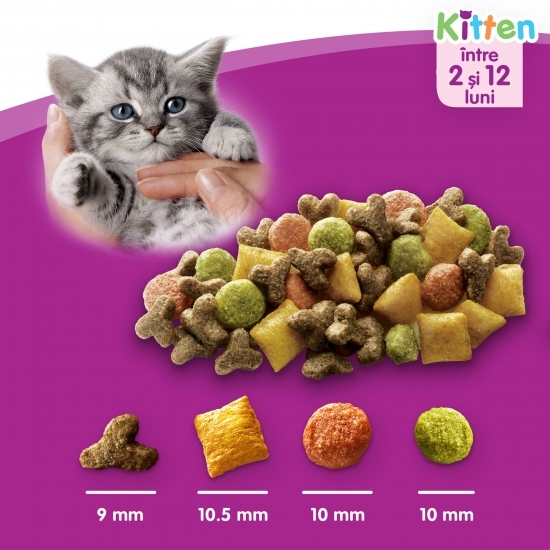 Hrană uscată pentru pisici junioare, 300g, cu pui