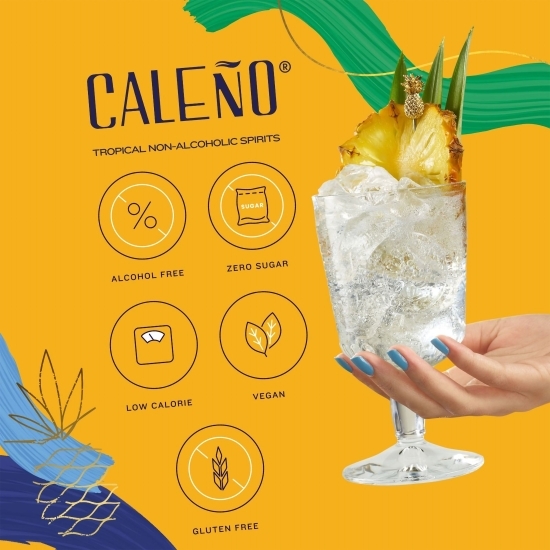 Gin fără alcool Light&Zesty 0.5l