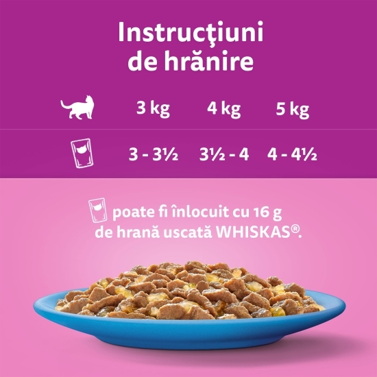 Hrană umedă pentru pisici adulte, 12 x 85g, Selecții de pește în aspic