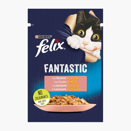 Hrană umedă pentru pisici, 85g, Fantastic cu somon în aspic