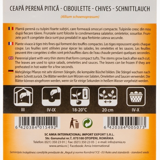 Semințe de ceapă perenă pitică 1g