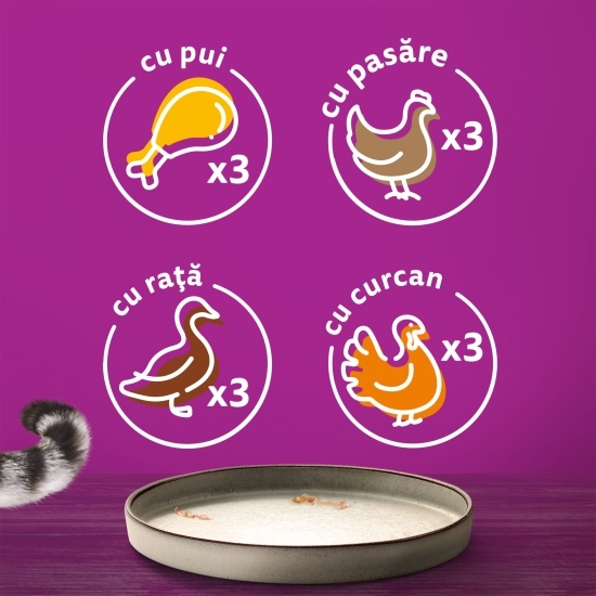 Hrană umedă pentru pisici adulte,12x85g, Pure Delight cu carne de pasăre în aspic