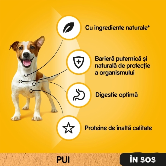 Hrană umedă pentru câini adulți, 100g, cu pui și legume în sos