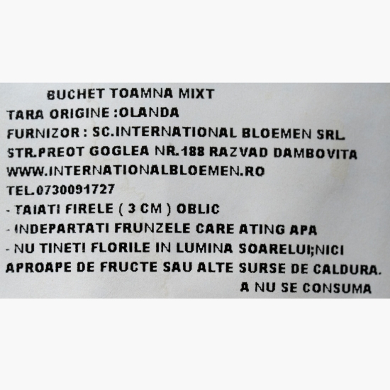 Buchet mix flori de toamnă