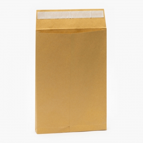 Set 10 plicuri documente cu burduf, B4, siliconic, hârtie kraft, 250x353x40 mm