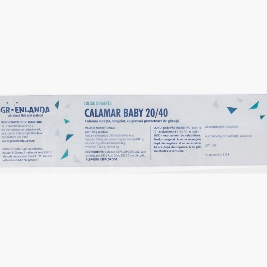Calamar baby curățat 20/40, 1kg
