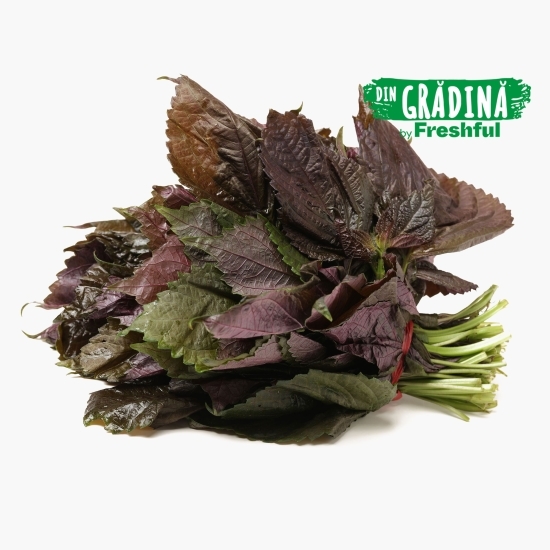 Frunze Shiso eco, România (Bioferma Niculești) 50g