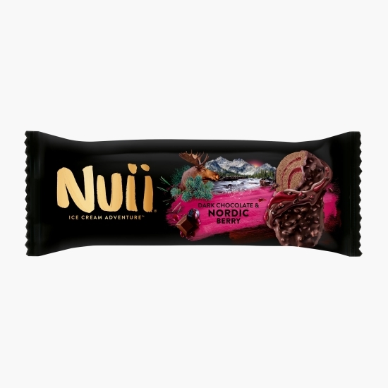 Înghețată de ciocolată cu sos de afine 90ml