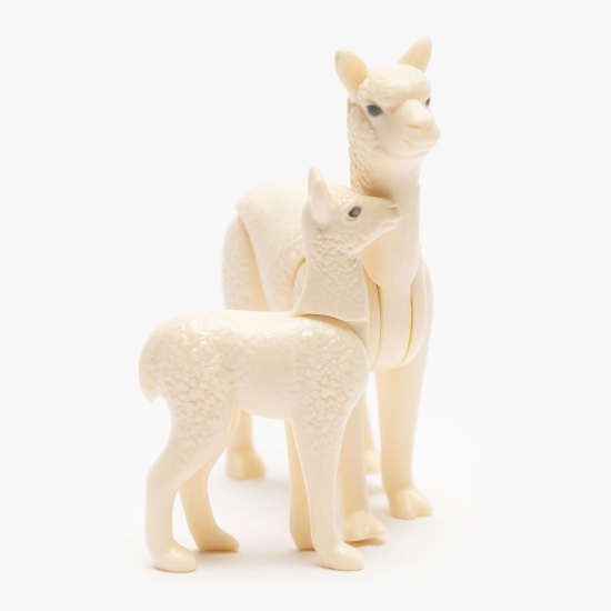 Alpaca cu pui 4+ ani