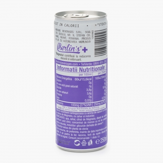 Apă cu vitamine Mg 0.25l