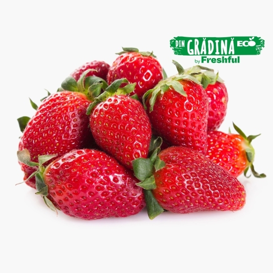 Căpșune eco România 250g