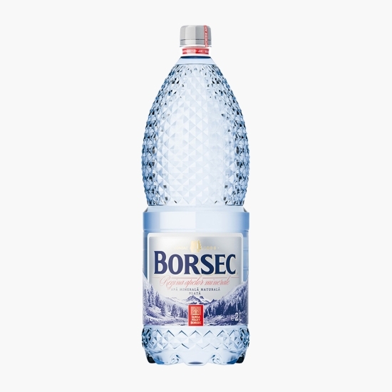 Apă minerală naturală plată 2l