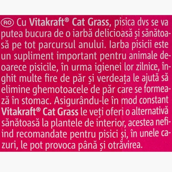 Iarba pisicii 120g