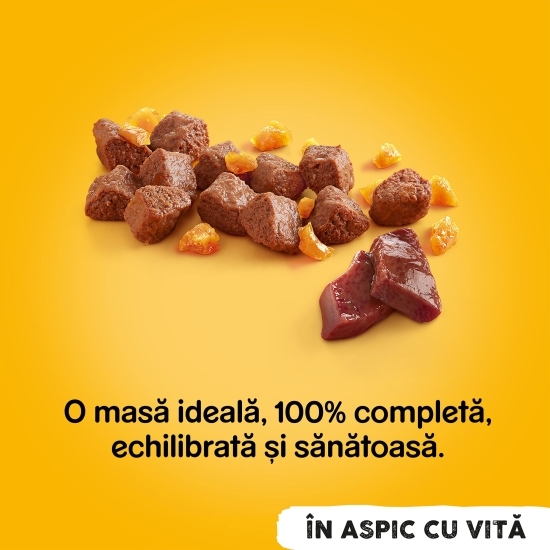 Hrană umedă completă pentru câini adulți, 1200g, cu vită în aspic 