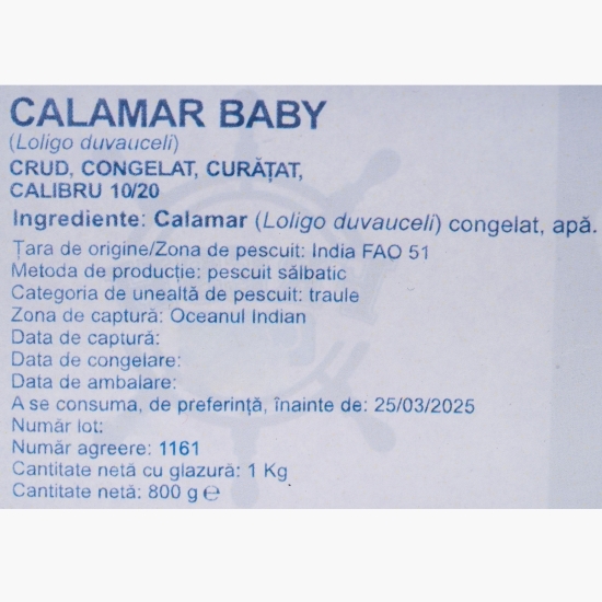 Calamar baby India 10/20, 1kg