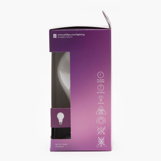Bec LED clasic Cool Daylight 120W A67 E27 