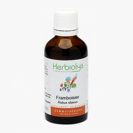 Extract din muguri de zmeur bio 50ml
