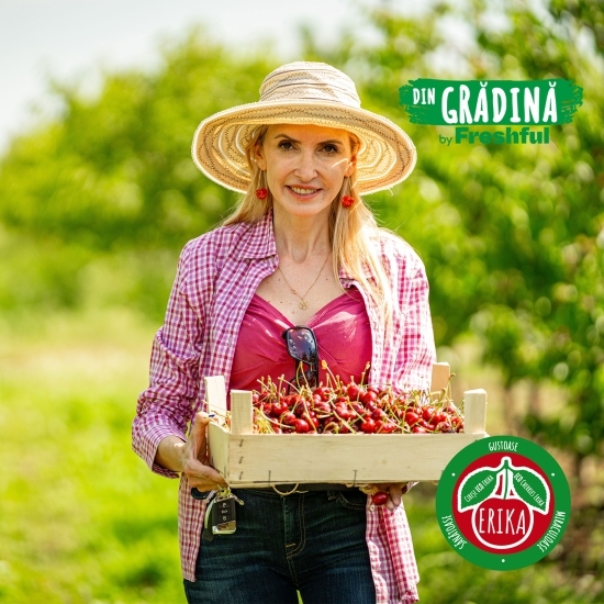 Cireșe Erika eco România 500g