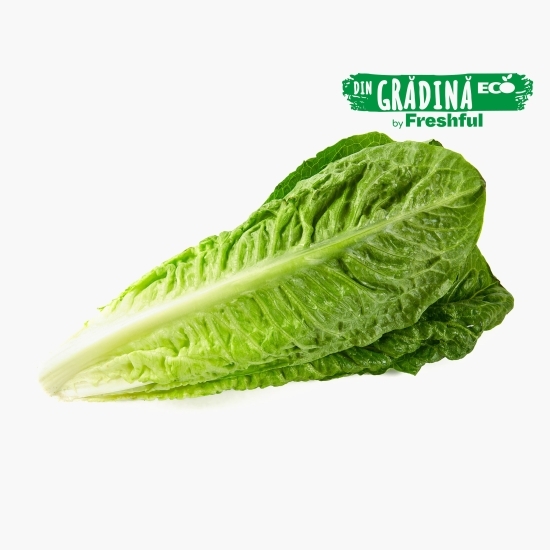 Salată Romană verde eco 1 bucată, Bioferma Niculești