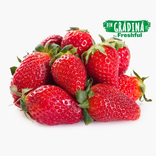 Căpșune eco România 250g