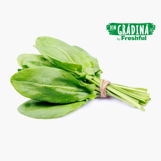 Măcriș eco România 20g