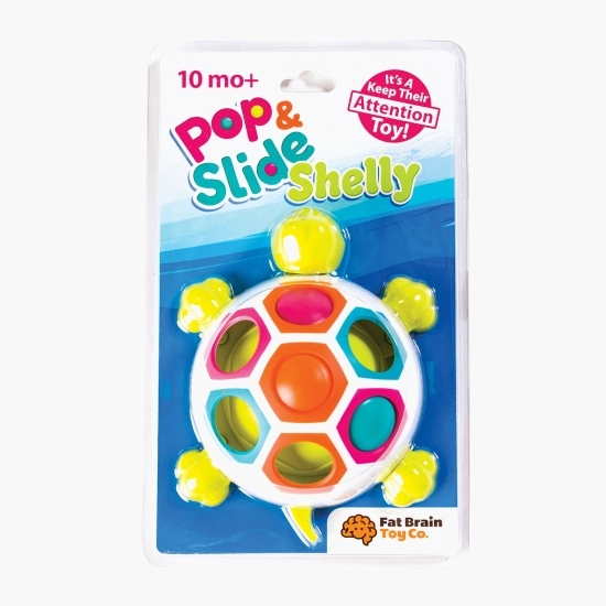 Broască țestoasă cu forme 10,+ luni