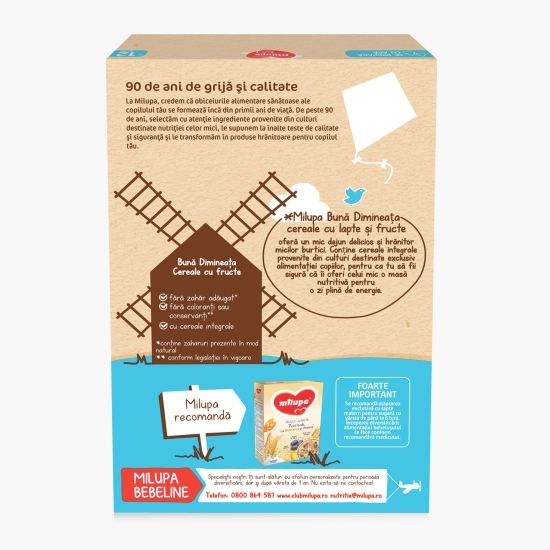 Cereale cu fructe Bună dimineața de la 12 luni 250g
