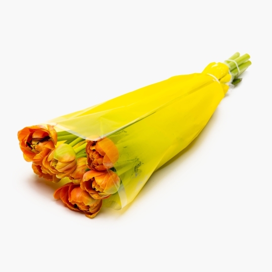 Buchet lalele duble, 7 fire