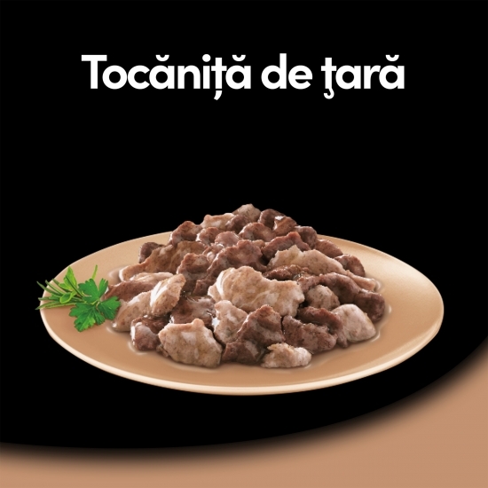 Hrană umedă pentru câini adulți, 150g, cu curcan și vită