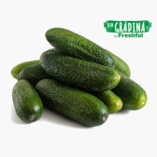 Castraveți Cornichon România 1kg