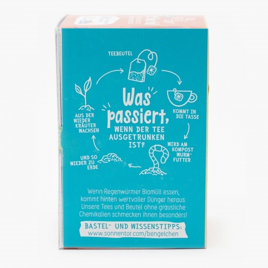 Ceai eco asortiment „Îngerașii ștrengari” 20 plicuri