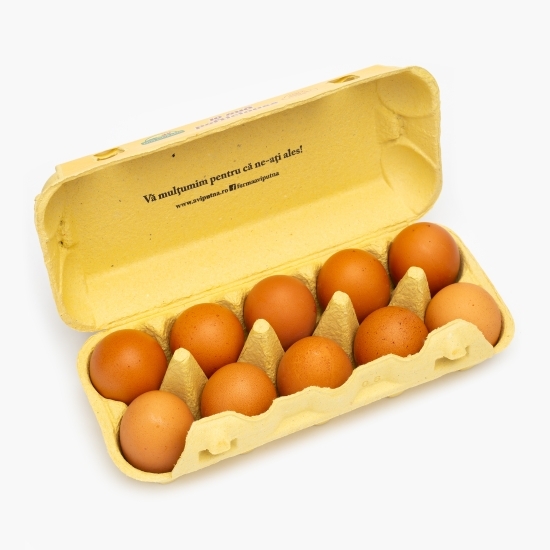 Ouă Pofticioase de la găini crescute la sol, mărimea XL, 10 buc