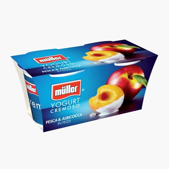 Pachet iaurt cu bucăți de piersici și caise 2x125g