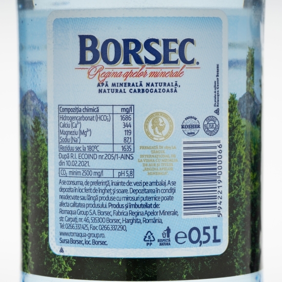 Apă minerală naturală natural carbogazoasă 0.5l