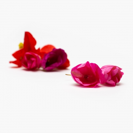 Mix de flori comestibile 25 buc