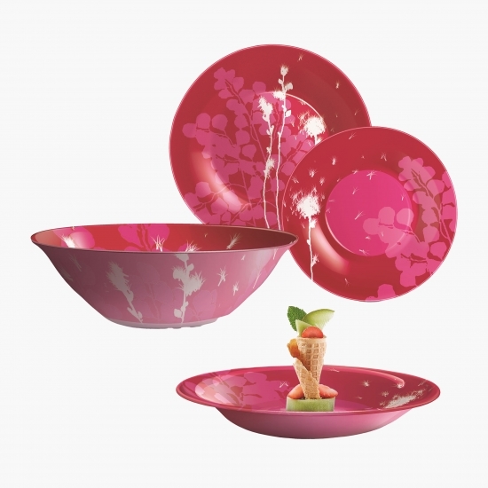 Set de masă red dream 19 piese