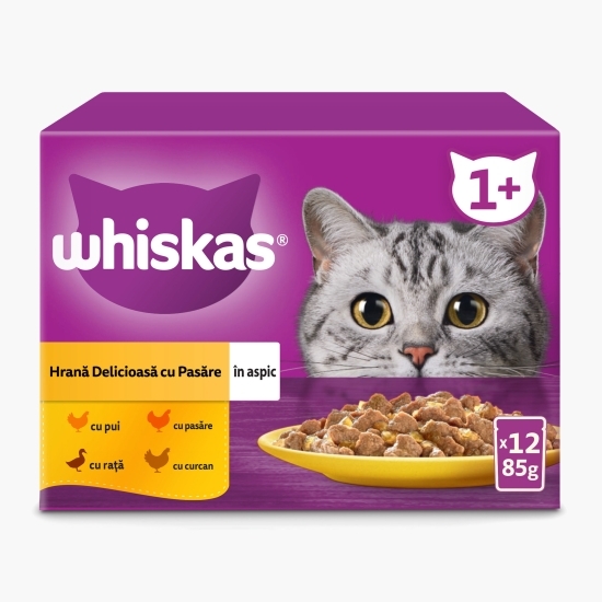 Hrană umedă pentru pisici adulte, 12 x 85g, carne de pasăre în aspic