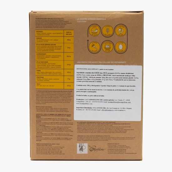 Paste Fettuccine agli spinaci 250g