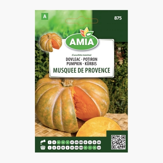 Semințe dovleac plăcintar Musque de Provence 2g