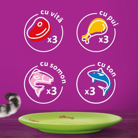  Hrană umedă pentru pisici adulte, 12 x 85g, Selecții de carne în aspic 