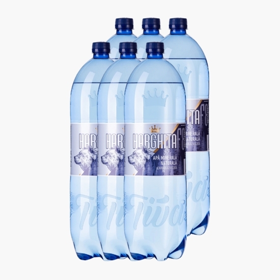 Apă minerală naturală carbogazoasă 6x2.25l