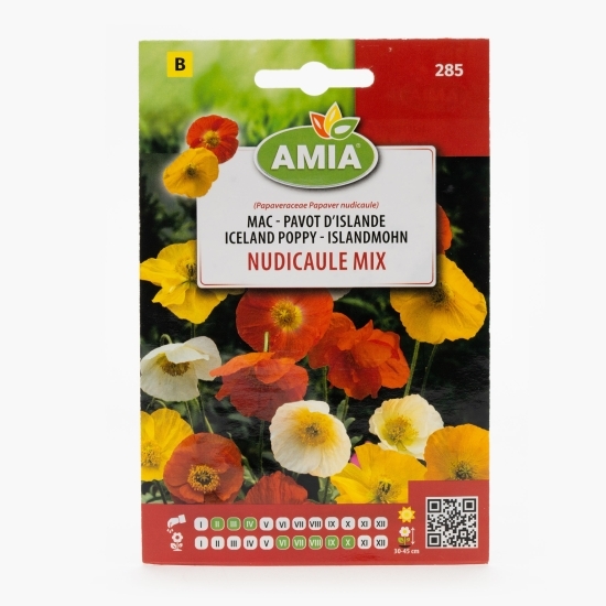 Semințe de mac nudicaule mix 0.4g